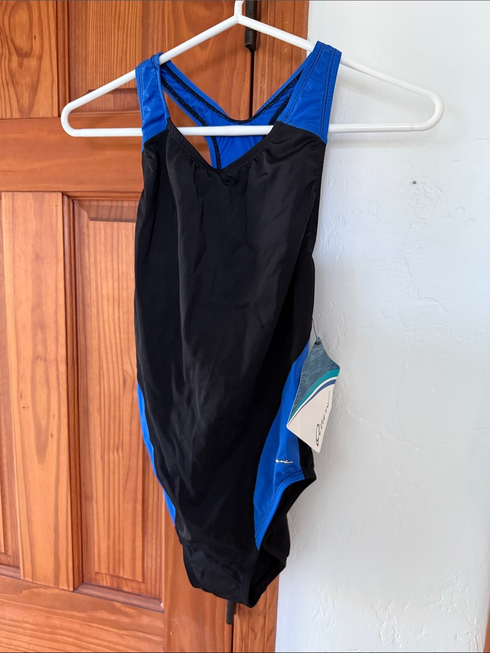 Dolfin Black and Blue One-Piece Swimsuit